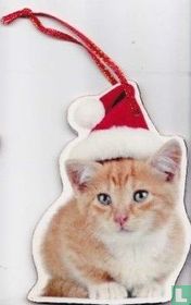 Feestdagen: Katten