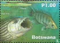 Okavangodelta