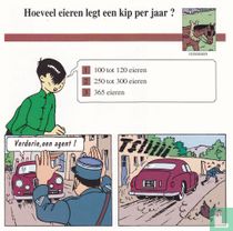 Huisdieren: Hoeveel eieren legt een kip per jaar?
