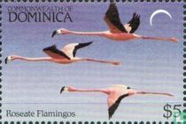Oiseaux