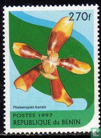 Orchidées