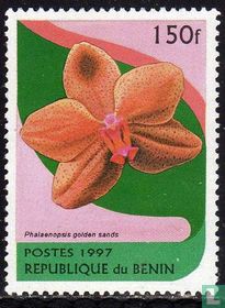 Orchidées
