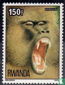 Singes