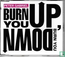 Burn You Up, Burn You Down