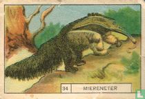 Miereneter