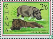 Faune et flore