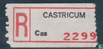 CACTRICUM  Cas 