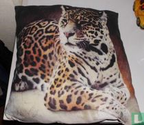 Panter