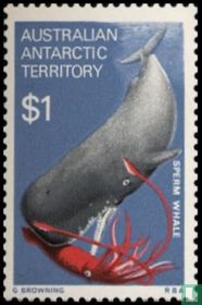 Sperm Whale