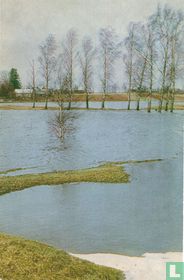 UIterwaarden