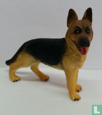 Berger allemand 