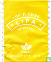 Lipa
