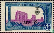 Roman aqueduct Zaghouan, with overprint