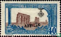 Roman aqueduct Zaghouan, with overprint