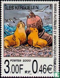 Eared Seals on Kerguelen Islands