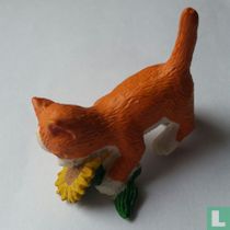 Kat 