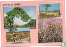 Groeten uit Nunspeet