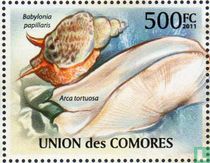 Coquillages