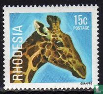 Girafe