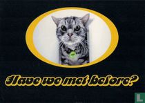 GG029 - Bacardi Breezer "Have we met before?"