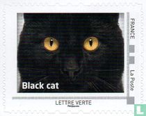Regarder