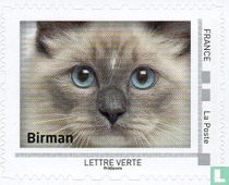 Regarder