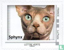 Regarder