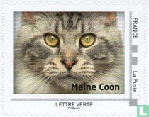 Regarder