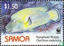 WWF - Poissons