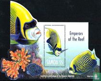 Poisson  