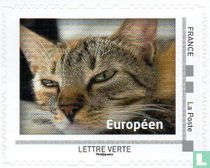 Regarder