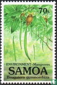 Mangroves