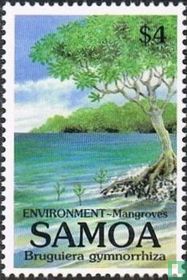 Mangroves  