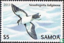Animaux indigènes