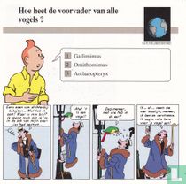 Natuurlijke Historie: Hoe heet de voorvader van alle vogels?