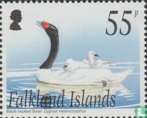 Pebble-eiland