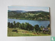 Titisee (Schwarzwald) 882 m ü. M. mit Feldberg