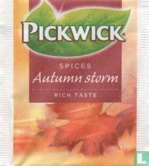 Autumn storm   