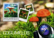 Champignons