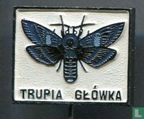 Trupia Główka