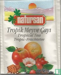 Tropik Meyve Çayi