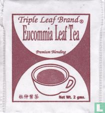 Eucommia Leaf Tea