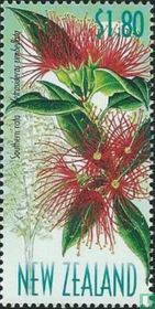 Native flowers for sale