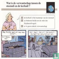 Natuurlijke Historie: Wat is de verwantschap tussen de steenuil en de kerkuil?