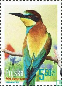 Vogels kopen