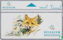 Lessive Vos en Reiger