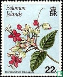 Fleurs