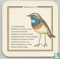 Das Blaukehlchen / Aus dem Herzen der Natur Licher Premium