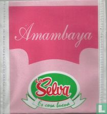 Amambaya