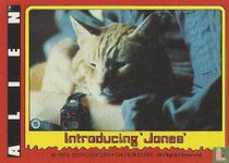 Introducing "Jones"